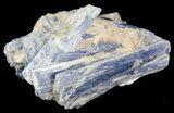Tabular Kyanite Crystals with Quartz - Brazil #45002-1